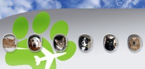 Transporting Pets