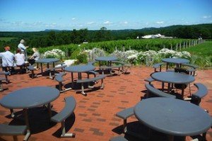Gouveia Vineyards in CT photo