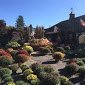 silvermans farm