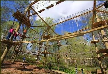 Image of Bridgeport adventure park