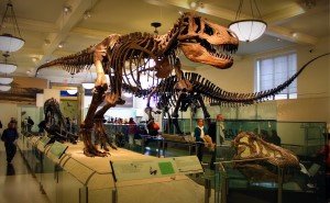New Haven Kids Museum
