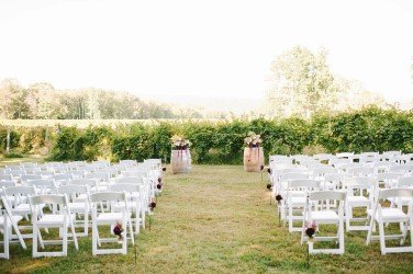 Priam-Vineyards-Image