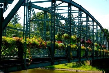 Flower-Bridge-Image