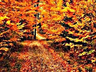 Connecticut-Fall-Scenery-Image