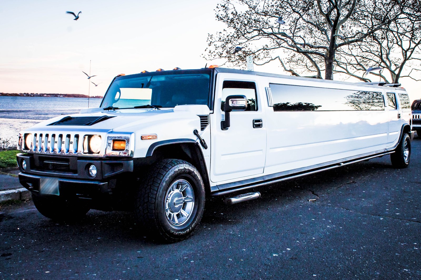 Hummer-Limousine-Image